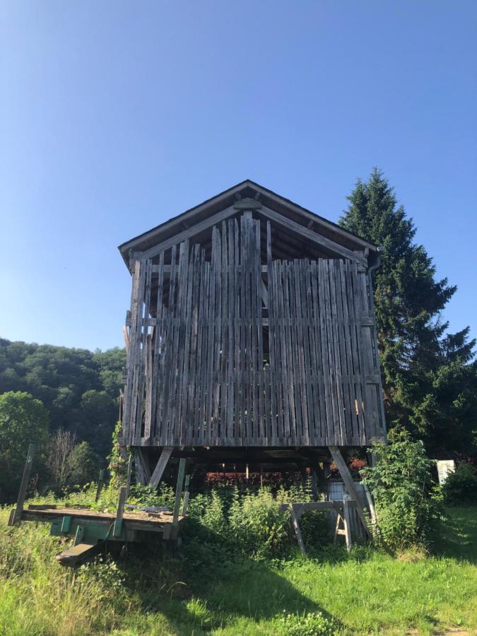 Apartamento Les Caliciades 3 A Gros-Fays Bièvre Exterior foto